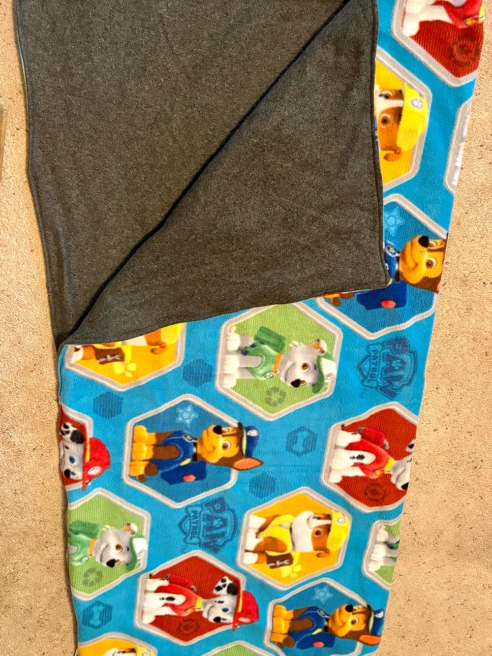Paw Patrol Blue Multi-Color Kids Fleece Blanket
